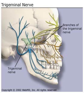 medical_information_cleveland_clinic_migraines_headaches_cluster_headaches_trigeminal_nerve
